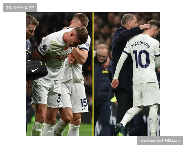 热刺客场大胜埃弗顿 范德芬双响助力球队跃升第三